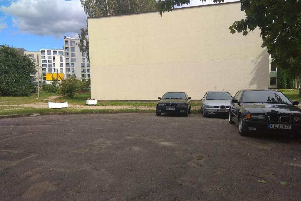 Slucko Central Studio Apartment Near River VNO Buitenkant foto