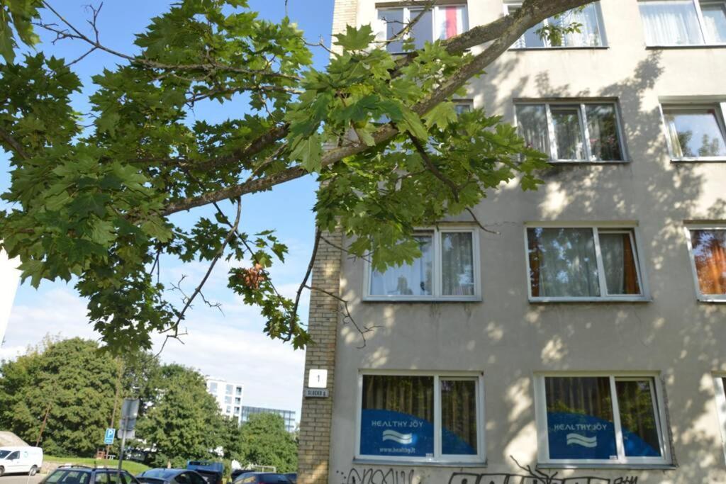 Slucko Central Studio Apartment Near River VNO Buitenkant foto