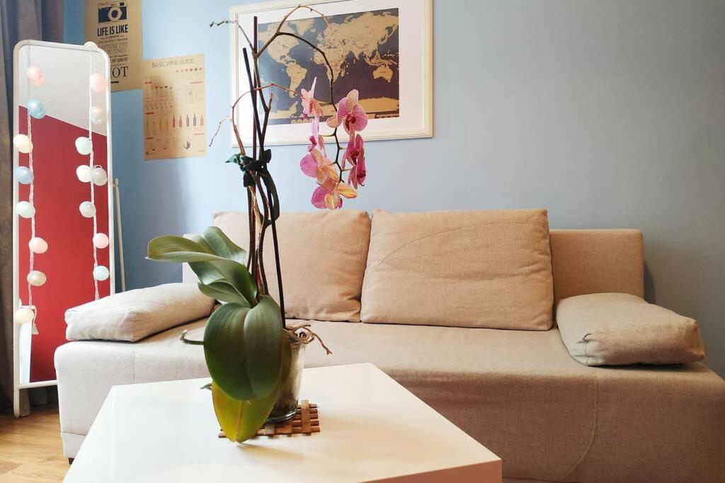 Slucko Central Studio Apartment Near River VNO Buitenkant foto