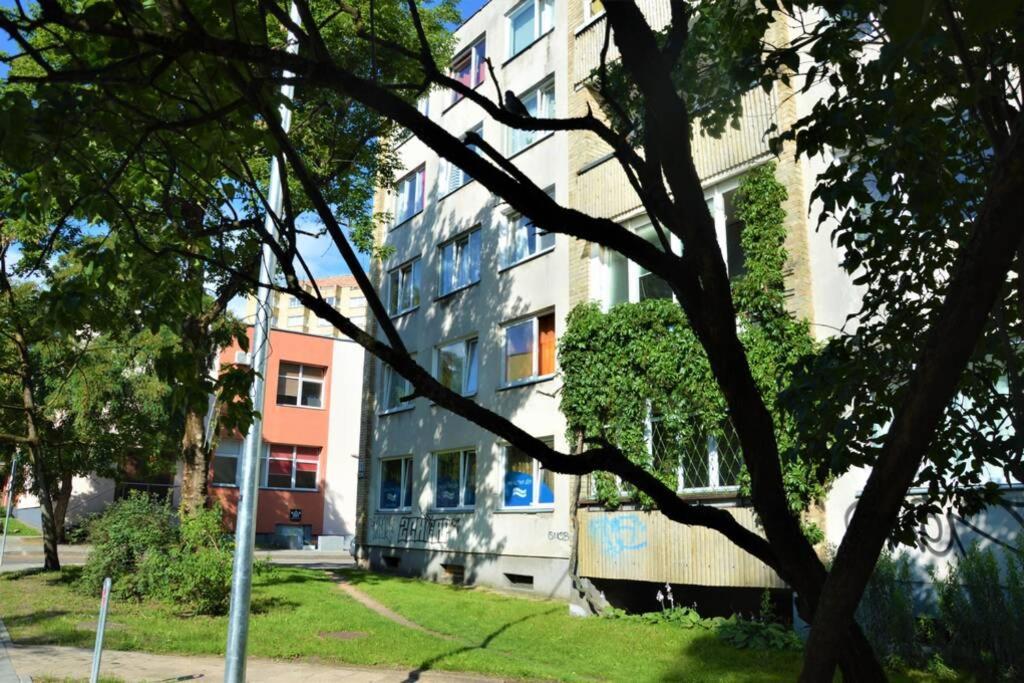 Slucko Central Studio Apartment Near River VNO Buitenkant foto