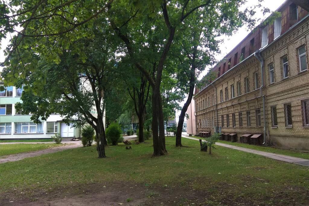 Slucko Central Studio Apartment Near River VNO Buitenkant foto