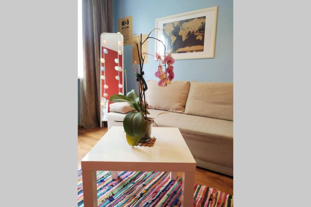 Slucko Central Studio Apartment Near River VNO Buitenkant foto